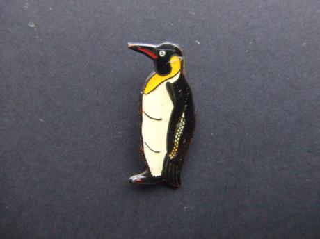 Pinguin recht vooruit